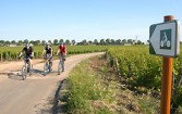 Vlo-route Beaune Santenay